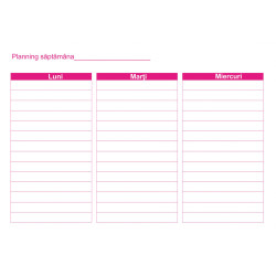 Planner saptamanal A3 Planner saptamanal A3