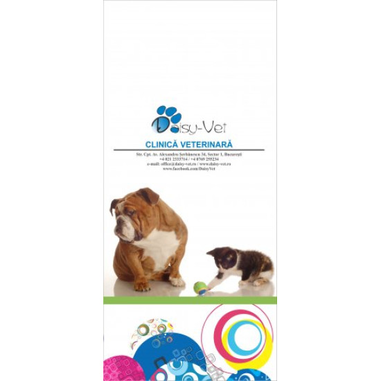 Carnet recomandari personalizate, 99 x 210 mm, 6 x 100 file