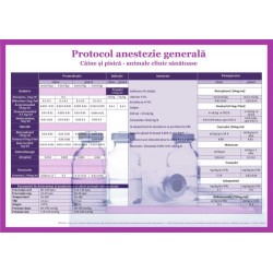 Plansa Protocol anestezie generala 50 x 70 cm Plansa Protocol anestezie generala 50 x 70 cm