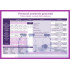 Plansa Protocol anestezie generala 50 x 70 cm