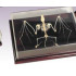 Schelet liliac, material didactic