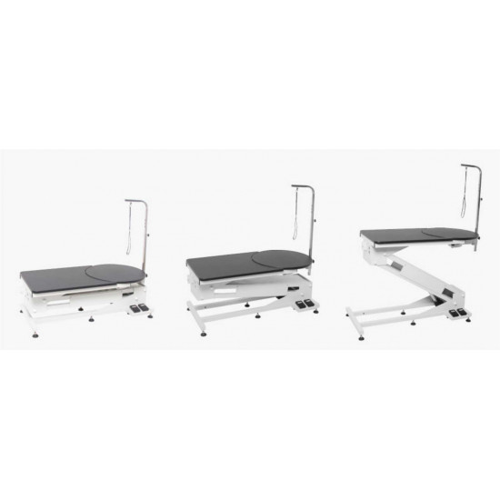 Masa electrica cosmetica, FT-898