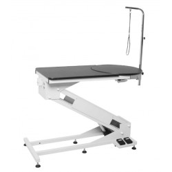 Masa electrica cosmetica, FT-898