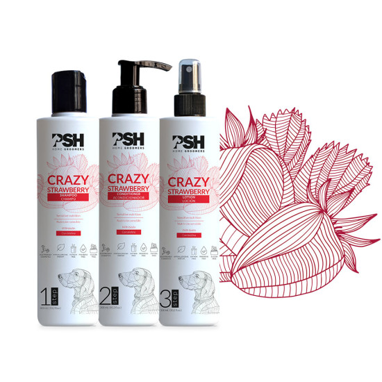 PACHET 3 PASI , PSH, CRAZY STRAWBERRY-PUTERNIC HIDRATANT