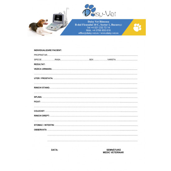 Buletin examen ecografic, 500 file