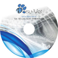 Inscriptionare CD-uri