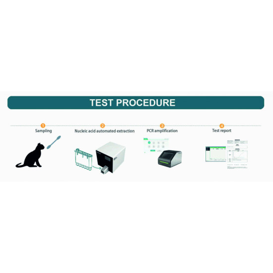Analizor Real-Time PCR KadieCheck Cantitativ - Testare Timp Real Cu Reactivi Liofilizati Analizor Real-Time PCR KadieCheck Cantitativ - Testare Timp Real Cu Reactivi Liofilizati