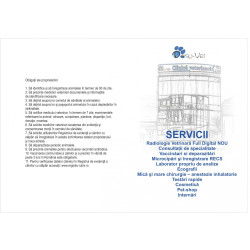 Carnete sanatate pisici, set 100 bucati, PERSONALIZATE Carnete sanatate pisici, set 100 bucati, PERSONALIZATE