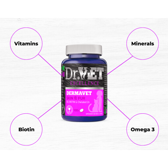 DR VET supliment nutritiv DERMAVET100 gr