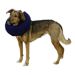 Guler gonflabil pentru animale Kerbl, circumf. 25-35 cm, 80835
