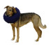 Guler gonflabil pentru animale Kerbl, circumf. 25-35 cm, 80835