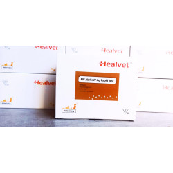 Kit 10 teste pentru detectarea anticorpilor virusului imunodeficientei feline(FIV) si a antigenului Virusului Leucemiei Feline (FeLV)