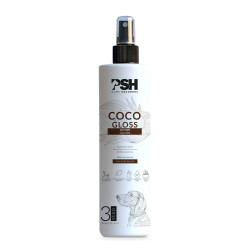 LOTIUNE COCO GLOSS PENTRU DESCALCIRE, PSH, 300 ml