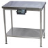 Masa consultatie cu cantar incorporat FT-822M