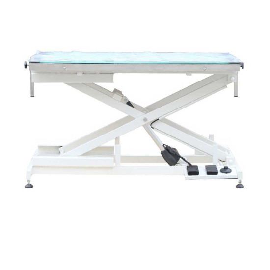 • Masa consultatie / cosmetica veterinara electrica blat iluminat FT-829
