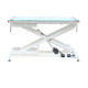 • Masa consultatie / cosmetica veterinara electrica blat iluminat FT-829