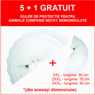 PACHET gulere Genia 5+1 XXL - lungime 30 cm