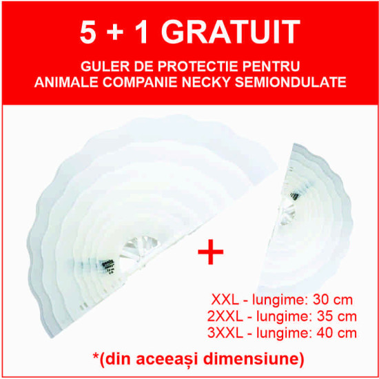 PACHET gulere Genia 5+1 2XXL - lungime 35 cm