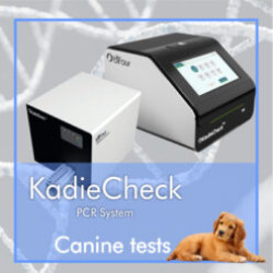 TESTE RT-qPCR CAINE COMPATIBILE CU SISTEMUL KadieCheck TESTE RT-qPCR CAINE COMPATIBILE CU SISTEMUL KadieCheck