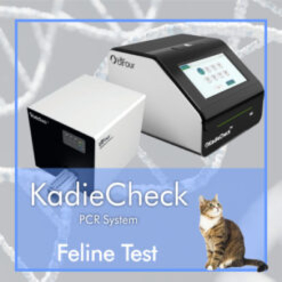 TESTE RT-qPCR PISICA COMPATIBILE CU SISTEMUL KadieCheck