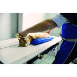 Saltea cu vacuum pentru imobilizare 60 x 100 cm Saltea cu vacuum pentru imobilizare 60 x 100 cm